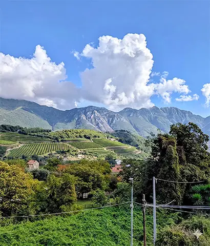 Private driver for wine tours and transfers to the lush hills of Tramonti.